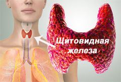 признаки заболевания щитовидной железы